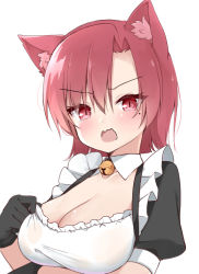 Rule 34 | 1girl, animal ears, bazett fraga mcremitz, bell, black gloves, blush, breasts, cat ears, cleavage, fate/hollow ataraxia, fate (series), framed breasts, glaring, gloves, hand up, jingle bell, kamu (geeenius), large breasts, looking at viewer, medium hair, mole, mole under eye, neck bell, open mouth, pink hair, puffy short sleeves, puffy sleeves, red eyes, short sleeves, simple background, slit pupils, solo, upper body, white background