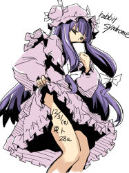 Rule 34 | 1girl, body writing, clothes lift, female focus, hermmy, patchouli knowledge, sketch, skirt, skirt lift, solo, touhou