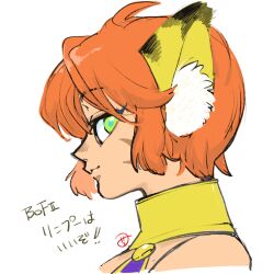 Rule 34 | 1girl, animal ears, anzuni (marblefrog), breath of fire, breath of fire ii, cat ears, closed mouth, facial mark, green eyes, highres, looking at viewer, orange hair, pointy ears, rinpoo chuan, short hair, simple background, solo, white background