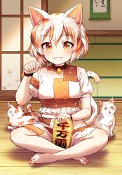 Rule 34 | 1girl, absurdres, animal ears, ankleband, barefoot, bell, breasts, brown hair, calico, cat, cat ears, cat girl, cat tail, coin, feet, gesture, gold, goutokuji mike, highres, indian style, kaoling, koban (gold), looking at viewer, maneki-neko, medium breasts, multicolored clothes, multicolored hair, multicolored shirt, multicolored skirt, neck bell, patch, paw pose, short hair, sitting, skirt, sliding doors, smile, tail, tatami, toes, touhou, wooden floor