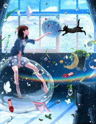 Rule 34 | 1girl, absurdres, black eyes, blue skirt, blue sky, brown hair, brown pantyhose, bubble, cat, closed mouth, crescent, day, highres, huge filesize, indoors, looking away, medium hair, nakamura yukihiro, original, pantyhose, plant, potted plant, sitting, skirt, sky, smile, solo, star (symbol), window