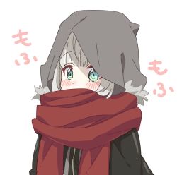 Rule 34 | 1girl, absurdres, aqua eyes, black jacket, blush, chili-tomato (gekikaraya), covered mouth, fate (series), fur trim, gray (fate), green eyes, highres, hood, hood up, jacket, long sleeves, lord el-melloi ii case files, oversized clothes, red scarf, scarf, scarf over mouth, short hair, simple background, solo, translation request, upper body, white background