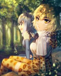 Rule 34 | 10s, 2girls, blonde hair, blush, breasts, brown hair, closed mouth, gloves, grey gloves, grey hair, highres, hiirotaka, jaguar (kemono friends), kemono friends, large breasts, looking at viewer, looking away, multicolored hair, multiple girls, open mouth, short hair, sitting, small-clawed otter (kemono friends), smile, thighhighs, white hair
