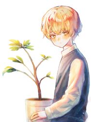 Rule 34 | 1boy, blonde hair, closed mouth, colored eyelashes, commentary, flower pot, grey sweater vest, holding, holding flower pot, light particles, limbus company, long sleeves, male focus, plant, potted plant, project moon, shirt, short hair, simple background, sinclair (project moon), solo, somangsticker, sweater vest, white background, white shirt, yellow eyes