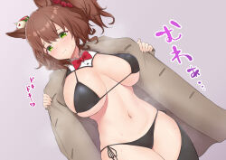 Rule 34 | 1girl, absurdres, alternate costume, animal ears, aston machan (umamusume), bikini, bikini under clothes, black bikini, black thighhighs, bow, bowtie, breasts, brown hair, closed mouth, coat, commentary request, cowboy shot, crown, dutch angle, flashing, green eyes, grey background, hair between eyes, hair ornament, hat, highres, horse ears, horse girl, jacket, large breasts, long hair, looking at viewer, medium hair, meme attire, mini hat, navel, open clothes, open coat, ponytail, red bow, red bowtie, reverse bunnysuit, reverse outfit, ririsu082, side-tie bikini bottom, simple background, smile, solo, steaming body, sweat, sweatdrop, swimsuit, thighhighs, thighs, umamusume