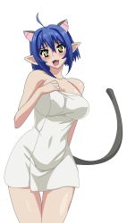 Rule 34 | 10s, 1girl, absurdres, ahoge, alternate costume, animal ears, arm behind back, artist request, blue hair, breasts, cat demon girl (shinmai maou no testament burst), cat ears, cat tail, cleavage, cowboy shot, embarrassed, hair between eyes, hair intakes, head tilt, highres, horns, large breasts, leaning to the side, legs together, navel, nipples, pointy ears, shinmai maou no testament, solo, standing, tail, towel, transparent background, yellow eyes