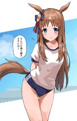 Rule 34 | 1girl, absurdres, animal ears, bloomers, blue eyes, blush, brown hair, commentary request, grass wonder (umamusume), gym shorts, hair ornament, hair ribbon, highres, hitode (ziburi), horse ears, horse girl, horse tail, long hair, looking at viewer, ribbon, shirt, shorts, tail, thighs, translation request, umamusume, underwear, white shirt
