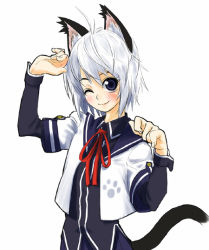 Rule 34 | animal ears, cat ears, cat tail, school uniform, serafuku, solo, tail, takano saki