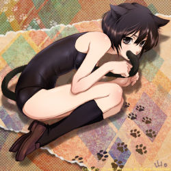 Rule 34 | 1girl, animal ears, bad id, bad pixiv id, black eyes, black hair, cat, cat ears, cat tail, loafers, lowres, one-piece swimsuit, original, paw print, personification, school swimsuit, shoes, short hair, socks, solo, swimsuit, tail, touyama maki