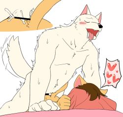 Rule 34 | 2boys, age difference, anal, bed, cum, cum in ass, cumdrip, drooling, furry, furry male, heart, male focus, male penetrated, manmosu marimo, multiple boys, original, sex, size difference, tagme, yaoi