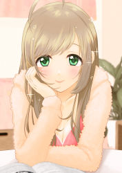 Rule 34 | 1girl, ahoge, blurry, blush, book, breasts, cleavage, closed mouth, collarbone, depth of field, eyebrows, eyelashes, eyes visible through hair, green eyes, hair down, highres, huge ahoge, idolmaster, idolmaster cinderella girls, indoors, light brown hair, lips, long hair, long sleeves, looking at viewer, medium breasts, nonono (1399900), open book, pink lips, sato shin, smile, solo, sparkle, straight hair, swept bangs, upper body