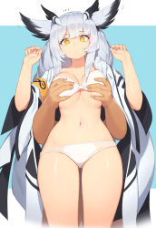 Rule 34 | 1boy, 1girl, arknights, armband, blue background, bra, grabbing another&#039;s breast, breasts, closed mouth, collarbone, feather hair, grabbing, grabbing from behind, hetero, highres, long hair, navel, owl ears, panties, pepper0, ptilopsis (arknights), silver hair, solo focus, two-tone background, underwear, white background, white bra, white panties, yellow eyes