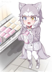 Rule 34 | 1girl, :3, adapted costume, afterimage, animal ears, blue eyes, blush, boots, coat, collar, cross-laced footwear, dog (mixed breed) (kemono friends), dog ears, dog girl, dog tail, fang, from above, full body, fur trim, gloves, grey coat, grey hair, heterochromia, kemono friends, lace-up boots, long sleeves, multicolored hair, nyifu, open mouth, pantyhose, red collar, shop, short hair, solo, strawberry milk, tail, tail wagging, white gloves, white hair, white pantyhose, yellow eyes