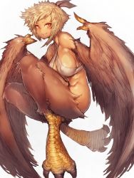 Rule 34 | 1girl, bare shoulders, breasts, fang, female focus, fumio (rsqkr), harpy, large breasts, light smile, monster girl, red eyes, short hair, sideboob, silver hair, simple background, solo, white background, winged arms, wings