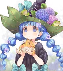 Rule 34 | 1girl, animal, black dress, black hat, blue bow, blue eyes, blue flower, blue hair, blurry, blurry background, bow, braid, commentary request, depth of field, dress, flower, frog, hair flower, hair ornament, hands up, hat, hat flower, holding, holding animal, hydrangea, kuga tsukasa, long hair, original, pink flower, polka dot, puffy short sleeves, puffy sleeves, purple flower, short sleeves, solo, striped, twin braids, twintails, upper body, very long hair, witch hat