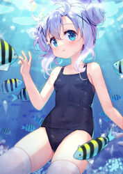 Rule 34 | 1girl, :t, blue eyes, blue hair, blue one-piece swimsuit, blush, breasts, closed mouth, collarbone, commentary request, covered navel, damselfish, double bun, fish, gochuumon wa usagi desu ka?, hair between eyes, hair bun, hair ornament, hairclip, hand up, highres, kafuu chino, one-piece swimsuit, partial commentary, school swimsuit, sergeant (fish), short hair, small breasts, solo, swimsuit, taku michi, thighhighs, underwater, white thighhighs, x hair ornament