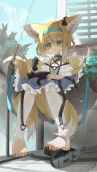 Rule 34 | 1girl, absurdres, animal, animal ear fluff, animal ears, animal on lap, arknights, bare shoulders, black cat, black collar, black footwear, black gloves, blonde hair, blue dress, blue flower, blue hairband, blush, boots, braid, cat, cat on lap, chinese commentary, closed mouth, clothing cutout, collar, commentary request, cup, dress, earpiece, flower, fox ears, fox girl, fox tail, frilled dress, frills, full body, gloves, green eyes, hair between eyes, hairband, hammock, highres, holding, holding cup, infection monitor (arknights), kele mimi, kitsune, kyuubi, lens flare, material growth, multiple tails, on lap, oripathy lesion (arknights), pantyhose, partial commentary, shoes, shoulder cutout, single glove, single wrist cuff, sitting, solo, stirrup legwear, suzuran (arknights), tail, teacup, tearing up, toeless legwear, toenails, toes, twin braids, unworn boots, unworn shoes, white hair, white pantyhose, wrist cuffs