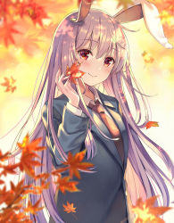 Rule 34 | 1girl, animal ears, autumn leaves, black jacket, blurry, blurry background, blurry foreground, blush, closed mouth, collared shirt, commentary request, depth of field, hair between eyes, hand up, highres, holding, holding leaf, jacket, leaf, long hair, long sleeves, looking at viewer, maple leaf, nail polish, necktie, pink nails, purple hair, rabbit ears, red eyes, red necktie, reisen udongein inaba, shirt, smile, solo, touhou, upper body, very long hair, white shirt, yuuka nonoko