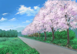 Rule 34 | blue sky, cherry blossoms, cloud, commentary request, day, grass, highres, hirota (masasiv3), no humans, outdoors, road, scenery, sky, tree
