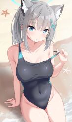Rule 34 | 1girl, absurdres, animal ear fluff, animal ears, black one-piece swimsuit, blue archive, blue eyes, breasts, bright pupils, clothes pull, competition swimsuit, covered navel, cowboy shot, cross hair ornament, extra ears, grey hair, hair ornament, halo, hayana neru, highres, looking at viewer, low ponytail, medium breasts, medium hair, mismatched pupils, multicolored clothes, multicolored swimsuit, official alternate costume, one-piece swimsuit, one-piece swimsuit pull, shiroko (blue archive), shiroko (swimsuit) (blue archive), sitting, solo, starfish, strap pull, swimsuit, white pupils, wolf ears