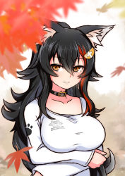 Rule 34 | 1girl, animal collar, animal ear fluff, animal ears, arms under breasts, ashiga oreta, autumn, autumn leaves, black hair, breast hold, breasts, closed mouth, collar, collarbone, crossed arms, flipped hair, hair between eyes, highres, hololive, large breasts, long hair, long sleeves, looking at viewer, multicolored hair, ookami mio, ookami mio (casual), red hair, shirt, smile, solo, streaked hair, upper body, very long hair, virtual youtuber, white shirt, wolf ears, wolf girl, yellow eyes