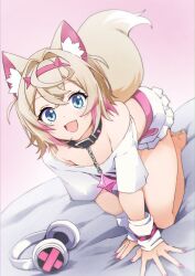 Rule 34 | 1girl, all fours, animal ear fluff, animal ears, barefoot, belt collar, black collar, blonde hair, blue eyes, breasts, collar, cropped shirt, dog ears, dog girl, dog tail, fang, frilled shorts, frills, highres, hololive, hololive english, looking at viewer, mococo abyssgard, mococo abyssgard (1st costume), multicolored hair, open mouth, pink hair, shirt, short hair, short shorts, shorts, skin fang, small breasts, smile, solo, spiked collar, spikes, streaked hair, tail, unworn headphones, virtual youtuber, white arm warmers, white shirt, yayilu
