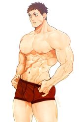 Rule 34 | 1boy, abs, bara, biceps, brown eyes, brown hair, feet out of frame, large pectorals, looking to the side, maeba (morbid+lovers), male focus, male underwear, male underwear pull, manly, mature male, muscular, muscular male, navel, navel hair, nipples, no pants, original, pectorals, scar, scar on face, scar on stomach, short hair, simple background, solo, spiked hair, teeth, thick arms, topless male, underwear, veins, veiny arms, white background