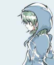 Rule 34 | 1other, androgynous, atoymk, blue hood, blue shirt, closed mouth, commentary, detached hood, green eyes, green hair, highres, len&#039;en, blue background, long sleeves, medium hair, other focus, shirt, shitodo aoji, simple background, solo, upper body