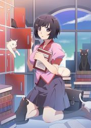 Rule 34 | 1girl, animal, artist request, black cat, black eyes, black hair, book, breasts, cat, hair ornament, hairclip, hanekawa tsubasa, holding, holding book, kneeling, large breasts, looking at viewer, monogatari (series), monogatari series puc puc, official art, parted lips, school uniform, shoes, short hair, skirt, socks, solo, source request, white cat, window