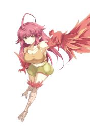 Rule 34 | 1girl, absurdres, ahoge, bare shoulders, bird legs, blush, borrowed character, breasts, brown tank top, cleavage, coco (eogks), commentary request, feathers, harpy, highres, large breasts, looking at viewer, monster girl, ne (nu kazuya), original, red eyes, red feathers, red wings, skirt, solo, talons, tank top, white background, winged arms, wings, yellow skirt