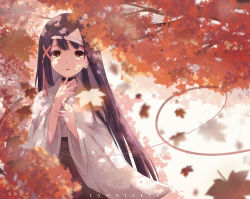 Rule 34 | 1girl, absurdres, artist name, autumn leaves, black choker, blurry, blurry foreground, branch, brown eyes, brown hair, brown hakama, choker, commentary, depth of field, earrings, english commentary, ghost, hair ribbon, hakama, hakama skirt, hands up, highres, japanese clothes, jewelry, kimono, lawnielle, long hair, long sleeves, miko, original, red ribbon, ribbon, ring, short kimono, skirt, solo, triangular headpiece, very long hair, white kimono, wide sleeves