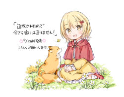 Rule 34 | 1girl, :d, animal, blonde hair, blush, bobby socks, bow, brown eyes, bug, butterfly, capelet, flower, fox, frilled skirt, frilled sleeves, frills, hair bow, hands on lap, hood, hood down, hooded capelet, insect, long sleeves, looking at viewer, on grass, open mouth, original, own hands together, puffy long sleeves, puffy sleeves, red bow, red capelet, red footwear, shoes, sitting, skirt, sleeves past wrists, smile, socks, solo, translation request, wariza, wataame27, white background, white flower, white socks, yellow flower, yellow skirt