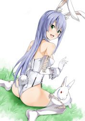 Rule 34 | 1girl, @ichigo, absurdres, animal, animal ears, ass, blush, detached collar, fake animal ears, from behind, gloves, green eyes, highres, leotard, light purple hair, long hair, looking back, open mouth, phantasy star, phantasy star online 2, playboy bunny, rabbit, rabbit ears, rabbit tail, sitting, solo, tail, tail wagging, thighhighs, transparent background, wariza, white thighhighs, wrist cuffs