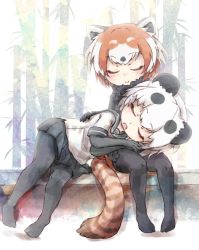 Rule 34 | 2girls, animal ears, black hair, commentary request, elbow gloves, closed eyes, fur collar, giant panda (kemono friends), gloves, kemono friends, kolshica, lap pillow, lesser panda (kemono friends), multicolored hair, multiple girls, no shoes, panda ears, panda tail, pantyhose, pleated skirt, red hair, red panda ears, red panda tail, sailor collar, short hair, short sleeves, skirt, sleeping, white hair