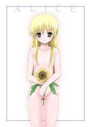 Rule 34 | 1girl, flower, nude, solo, sunflower