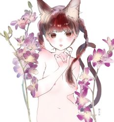 Rule 34 | 1girl, animal ears, bow, braid, breasts, cat ears, cat tail, censored, extra ears, flower, gin fragrans, hair bow, highres, kaenbyou rin, long hair, looking at viewer, multiple tails, nekomata, nipples, nude, open mouth, red eyes, red hair, simple background, solo, tail, touhou, twin braids, two tails, white background