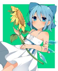 Rule 34 | 1girl, alternate costume, bad id, bad twitter id, blue bow, blue eyes, blue hair, blush, bow, cirno, closed mouth, cowboy shot, dress, dutch angle, flower, green background, hair bow, highres, holding, holding flower, ice, ice wings, karasusou nano, long hair, looking at viewer, multicolored background, outside border, short hair, simple background, solo, sunflower, tan, tanned cirno, touhou, two-tone background, white dress, wings