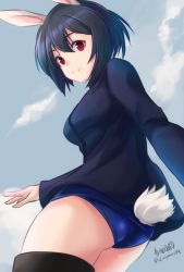Rule 34 | 1girl, animal ears, artist name, ass, bad id, bad twitter id, blue hair, blue jacket, blue one-piece swimsuit, brave witches, closed mouth, cloud, cloudy sky, day, flying, from behind, haruhata mutsuki, jacket, long sleeves, looking at viewer, military, military uniform, no pants, one-piece swimsuit, outdoors, purple eyes, rabbit ears, rabbit girl, rabbit tail, school swimsuit, shimohara sadako, short hair, signature, sky, smile, solo, striker unit, swimsuit, swimsuit under clothes, tail, twitter username, uniform, world witches series