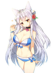 Rule 34 | 1girl, animal ears, bad id, bad pixiv id, bare shoulders, belt, belt buckle, bikini, bikini bottom only, black collar, blush, bow, breasts, brown eyes, buckle, cat ears, claw pose, cleavage, closed mouth, collar, collarbone, commentary request, flower, hair between eyes, hair flower, hair ornament, hand up, head tilt, heart, large breasts, long hair, mismatched bikini, original, red flower, red rose, rose, silver hair, simple background, solo, striped bikini, striped bikini bottom, striped clothes, swimsuit, tp (kido 94), very long hair, white background