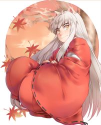 Rule 34 | 1boy, animal ears, autumn leaves, dog ears, inuyasha, inuyasha (character), japanese clothes, long hair, looking at viewer, male focus, smile, solo, white hair, yellow eyes, yorukun