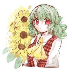 Rule 34 | 1girl, ascot, collared shirt, commentary request, dress shirt, flower, green hair, hair between eyes, kazami yuuka, long sleeves, one-hour drawing challenge, open clothes, open vest, plaid, plaid vest, red eyes, red vest, shirt, short hair, simple background, solo, sunflower, tama (hiroshige 36), touhou, upper body, vest, wavy hair, white background, white shirt