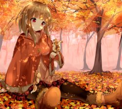 Rule 34 | 1girl, animal, arm up, autumn, blonde hair, blurry, blush, boots, breasts, buttons, cape, cross-laced footwear, female focus, fog, forest, fringe trim, fur, hamaru, head tilt, lacing, leaf, looking away, nature, original, pantyhose, plaid, plaid skirt, plant, pleated skirt, red eyes, short hair, sitting, sitting on person, skirt, smile, solo, squirrel, sunlight, tree