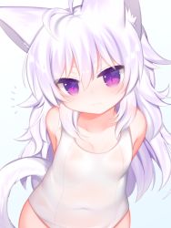 Rule 34 | 1girl, :3, ahoge, animal ear fluff, animal ears, arms behind back, blue background, blush, cat ears, cat girl, cat tail, closed mouth, collarbone, commentary request, gradient background, hair between eyes, head tilt, highres, long hair, mofuaki, one-piece swimsuit, original, purple eyes, purple hair, school swimsuit, see-through, shiro (mofuaki), smile, solo, swimsuit, tail, tail raised, very long hair, white background, white one-piece swimsuit