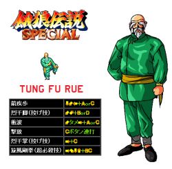Rule 34 | bald, beard, command list, facial hair, fatal fury, fatal fury special, game, kung fu, neo geo, old, old man, snk, tung fu rue