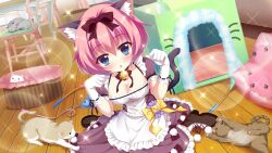 Rule 34 | 1girl, :&lt;, animal ears, basket, bell, blue eyes, boots, bow, breasts, brown cat, brown footwear, cat, cat ears, cat tail, cat teaser, chair, cleavage, dot nose, dress, dutch angle, fake animal ears, fake tail, film grain, frilled dress, frills, game cg, gloves, grey cat, hair bow, hiiragi kae, indoors, izumi tsubasu, jingle bell, large breasts, lens flare, looking at viewer, non-web source, official art, on floor, open mouth, paw pose, paw print, paw print pattern, pink hair, puffy short sleeves, puffy sleeves, purple skirt, re:stage!, red bow, short hair, short sleeves, sitting, skirt, solo, sparkle, table, tail, wariza, white cat, white gloves, wooden floor