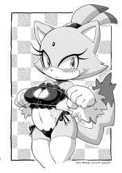 Rule 34 | aku tojyo, blaze the cat, breasts, cleavage, highres, medium breasts, shy, solo focus, sonic (series), uncensored