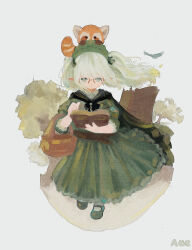 Rule 34 | 1girl, absurdres, ame rain, animal, animal on head, basket, book, cape, closed mouth, dot mouth, dress, final fantasy, final fantasy xiv, flat chest, frilled dress, frills, full body, glasses, green cape, green dress, green footwear, green hair, green headdress, highres, holding, holding basket, holding book, lalafell, looking at viewer, on head, pointy ears, red panda, simple background, solo, twintails, warrior of light (ff14), wind