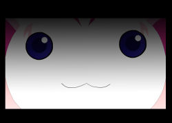 Rule 34 | :3, black border, border, close-up, closed mouth, creature, highres, hummy (suite precure), kyubey, looking at viewer, mahou shoujo madoka magica, mahou shoujo madoka magica (anime), no humans, parody, precure, purple eyes, suite precure