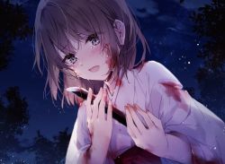 Rule 34 | 1girl, blood, blood on clothes, bloody weapon, blush, brown hair, commentary request, crying, crying with eyes open, grey eyes, hakama, hakama skirt, japanese clothes, kimono, long sleeves, looking at viewer, mochizuki shiina, night, night sky, open mouth, original, outdoors, red hakama, sidelocks, skirt, sky, solo, sword, tears, weapon, white kimono, wide sleeves