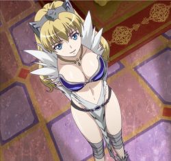 Rule 34 | 1girl, armor, blonde hair, blue eyes, breasts, cleavage, earrings, elina (queen&#039;s blade), from above, highres, jewelry, long hair, necklace, queen&#039;s blade, smile, solo, standing